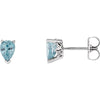 Genuine Blue Zircon Earrings in 14K White Gold Genuine Blue Zircon Earrings in 14K White Gold