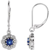 14k White Gold Blue Sapphire & 1/8 ctw. Diamond Halo-Style Earrings