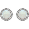 14k White Gold Opal Earrings