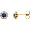 14k Yellow Gold Blue Sapphire & 1/6 ctw. Diamond Earrings