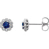 14k White Gold Blue Sapphire & 1/6 ctw. Diamond Earrings