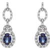 14k White Gold 1/4 CTW Diamond & Blue Sapphire Earrings