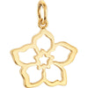 Forget Me Not Charm in 14K Yellow Gold