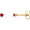 14k Yellow Gold 2.5mm Round Ruby Earrings