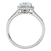 Sterling Silver Aquamarine & .01 CTW Diamond Ring, Size 6