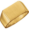 11.00X15.00 mm Men's Signet Ring with Brush Finished Top in 14k Yellow Gold ( Size 10 )