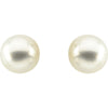 14k Yellow Gold 13mm Button South Sea Cultured Pearl Earrings