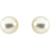18k Yellow Gold 15mm Button South Sea Cultured Pearl Earrings