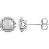 14k White Gold Created Opal & 1/10 ctw. Diamond Earrings