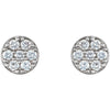 14k White Gold 3/8 CTW Diamond Cluster Earrings