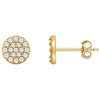 14k Yellow Gold 1/3 ctw. Diamond Cluster Earrings