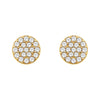 14k Yellow Gold 1/3 CTW Diamond Cluster Earrings