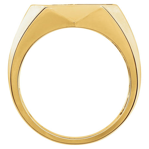 14k Yellow Gold Men's Onyx & .02 CTW Diamond Ring, Size 10