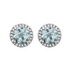 14k White Gold Aquamarine & 1/8 CTW Diamond Earrings