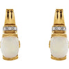 14k Yellow Gold Genuine Opal, Pink Tourmaline & .05 CTW Diamond Earrings