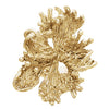 Gold Fashion Ring in 14k Yellow Gold ( Size 6 )