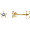 Pair of Children's Star Cubic Zirconia Earrings in 14k Yellow Gold