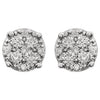 14k White Gold 1/4 CTW Diamond Cluster Friction Post Earrings