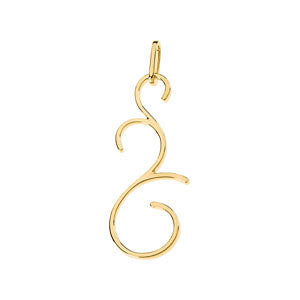 14k Yellow Gold Fashion Pendant