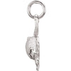 Sterling Silver Turtle Dangle or Pendant