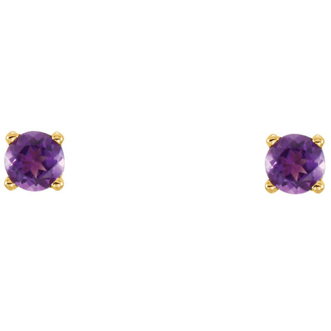 14k Yellow Gold Amethyst Youth Earrings