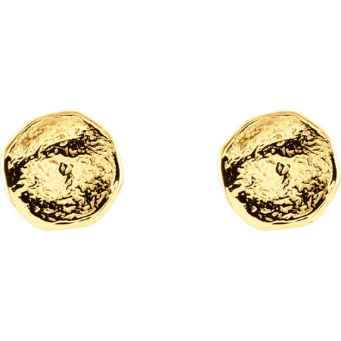 14k Yellow Gold Textured Earrings