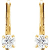 14k Yellow Gold Cubic Zirconia Youth Lever Back Earrings