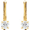 14k Yellow Gold Cubic Zirconia Youth Lever Back Earrings