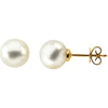 Elegant and Stylish Pair of 14.00 MM Fine Full Button South Sea Cultured Pearl Earrings in 18K Yellow Gold, 100% Satisfaction Guaranteed.