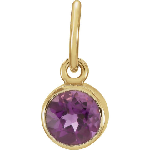 14k Yellow Gold Imitation Amethyst Birthstone Charm