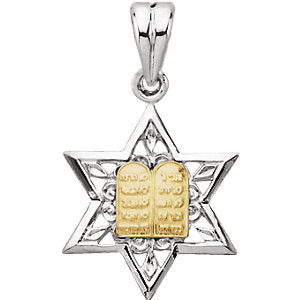Sterling Silver & 14k Yellow Gold 19.92x14.9mm Star of David Pendant