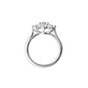 14k White Gold Diamond Cluster Ring, Size 7