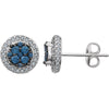 14K White Gold 1/2 CTW Diamond Blue & White Halo Earrings